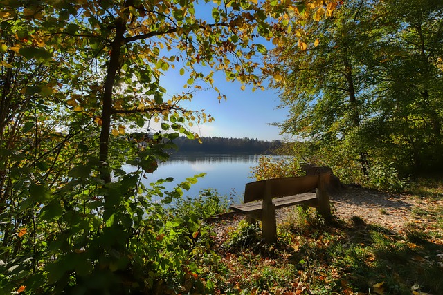 团队运动 团队运动